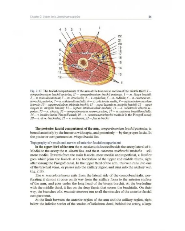 Topographic Anatomy and Operative Surgery. Textbook