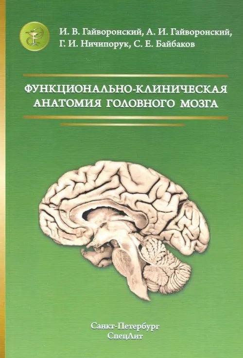 Функционально-клиническая анатомия головного мозга Функционально-клиническая анатомия головного мозга