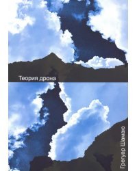 Теория дрона