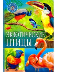 Экзотические птицы