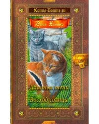 Длинные тени. Восход солнца