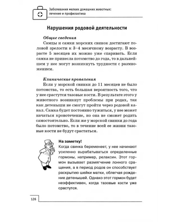 Заболевания мелких домашних животных. Лечение и профилактика
