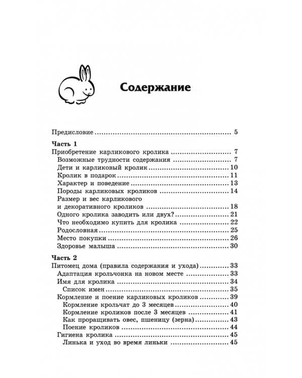 Карликовые кролики. Правила ухода