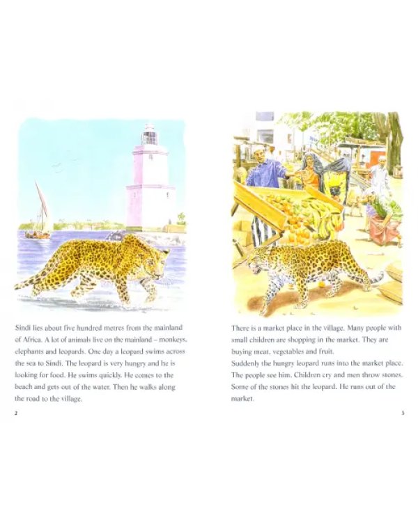 The Leopard and the Lighthouse. Easystarts