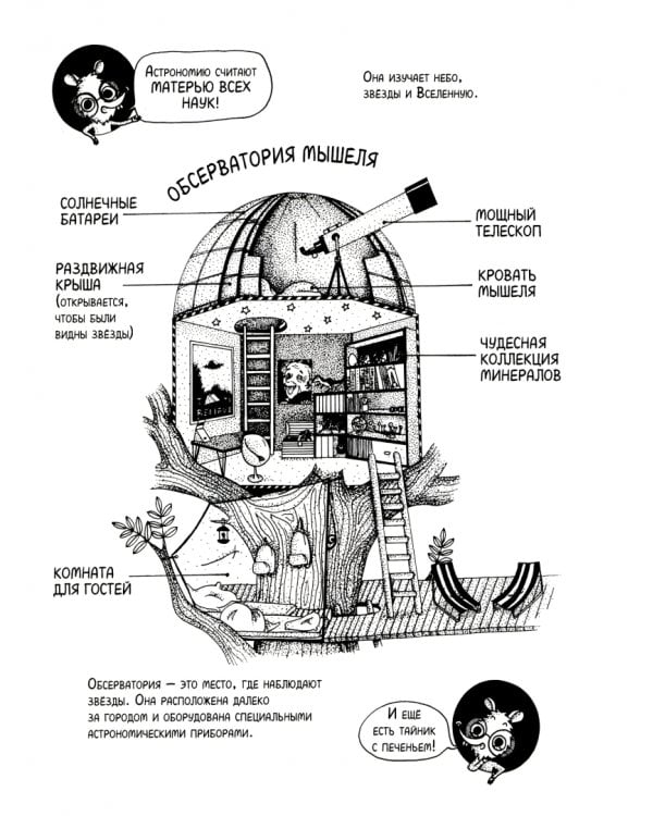 Под звёздным небом: учимся наблюдать планеты и искать созвездия