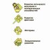 Трансформер 2 в 1. Робот-полицейская машина