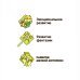 Мялка-Кидалка. Чудики. Сова