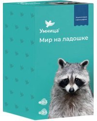 Мир на ладошке. Енот