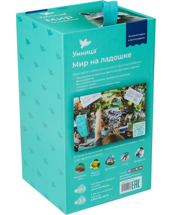 Дополнительное изображение книги «Мир на ладошке. Енот»