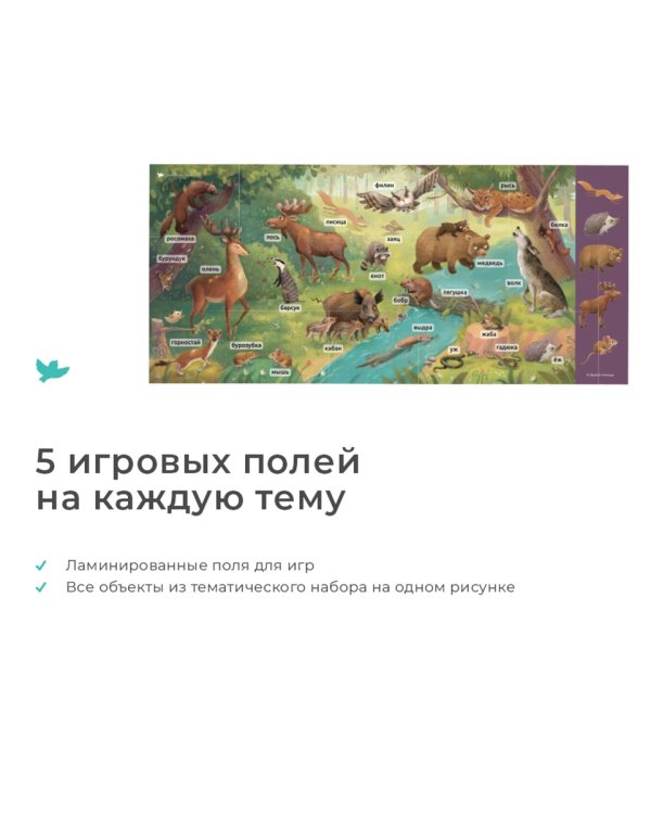 Дополнительное изображение книги «Мир на ладошке. Енот»