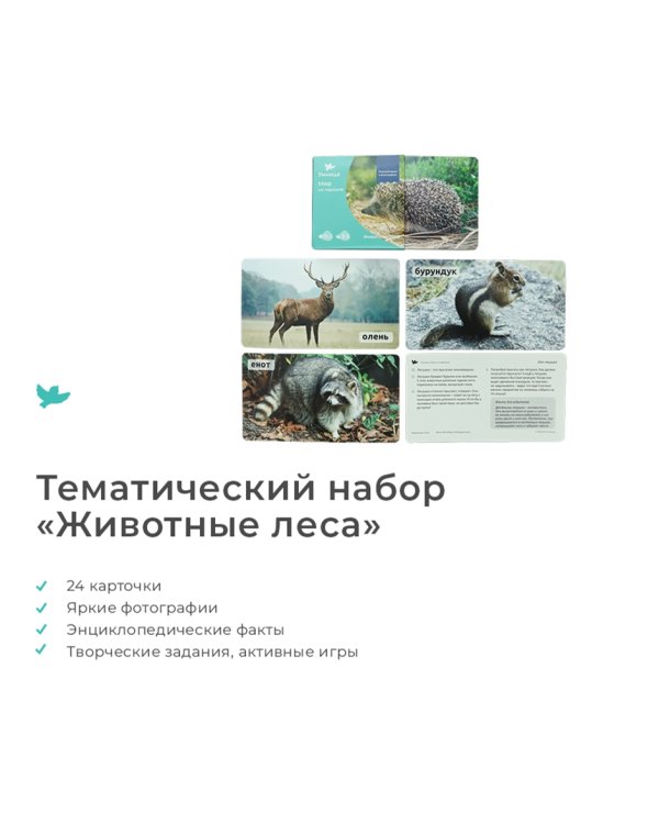 Дополнительное изображение книги «Мир на ладошке. Енот»