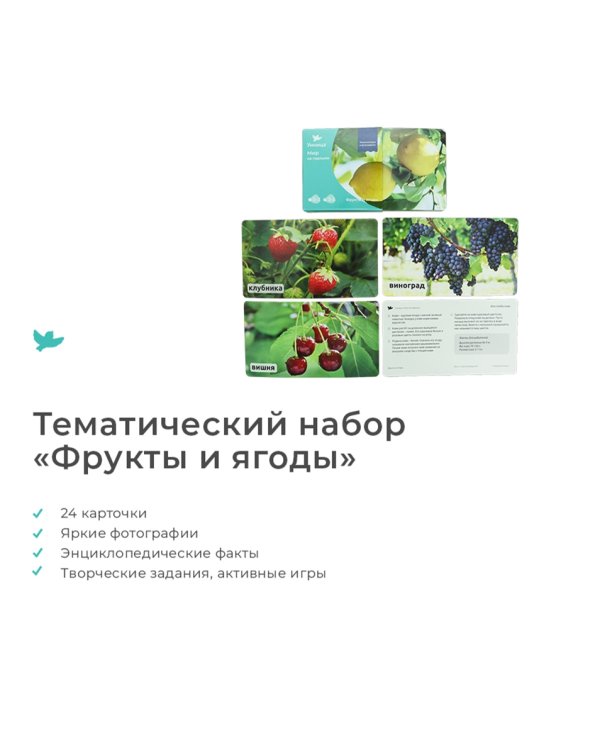 Дополнительное изображение книги «Мир на ладошке. Енот»
