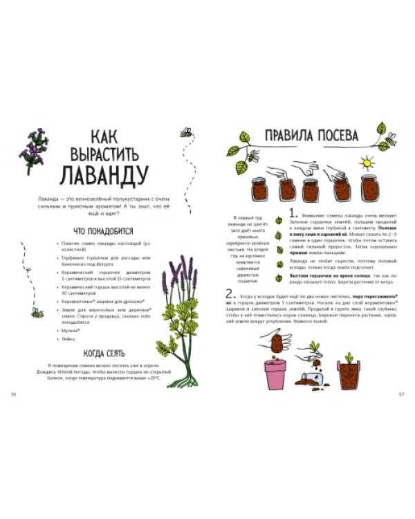 Огород круглый год. Твоя грядка на балконе