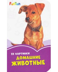 Домашние животные