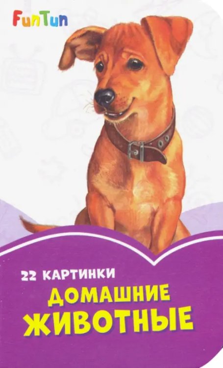 Сиреневые книжки Домашние животные