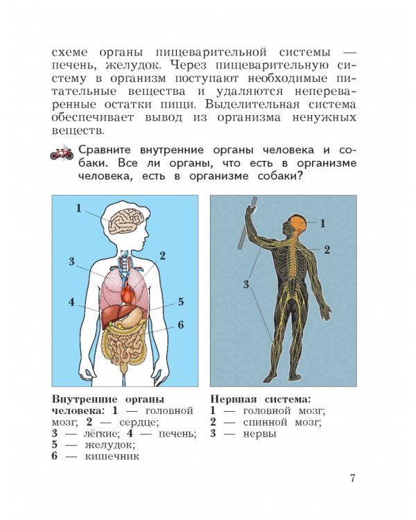 Дополнительное изображение книги «Окружающий мир. 4 класс. Учебник. В 2-х частях. ФГОС. Часть 1»