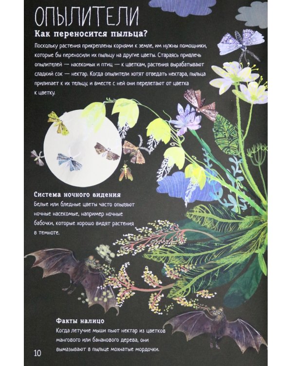 Большая книга цветов