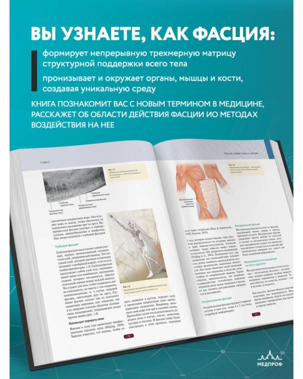 Fascia. Что это такое и почему это важно