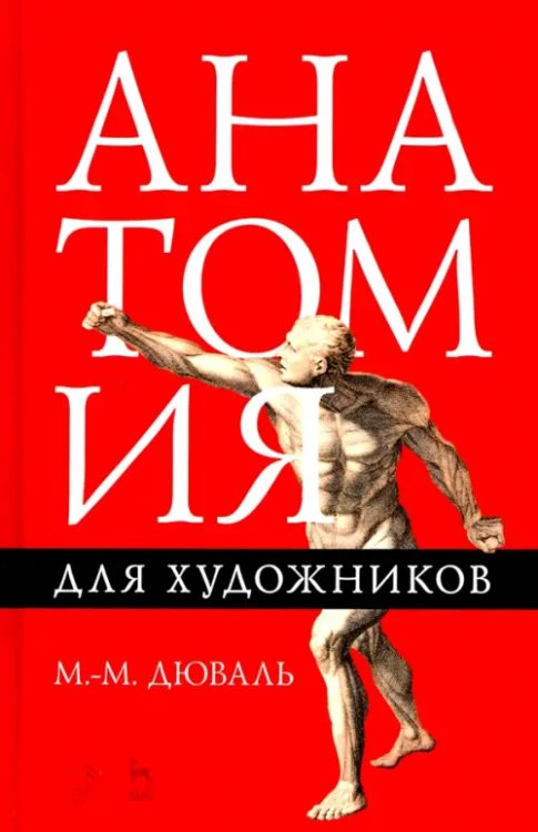 Учебники для вузов. Специальная литература Анатомия для художников. Учебное пособие