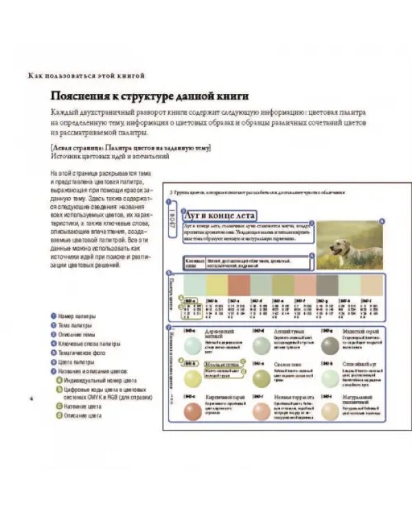 Сочетание цветов на практике
