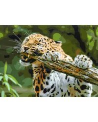 Холст с красками. Рисование по номерам. Леопард в джунглях, 40х50 см