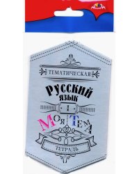 Наклейки для тематических тетрадей 9-11 класса, 20 предметов, 20 штук