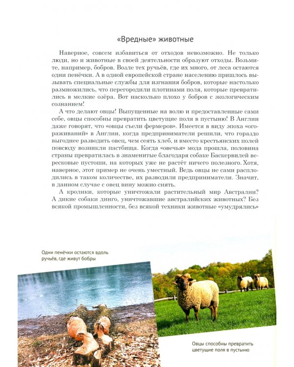Порядок на планете