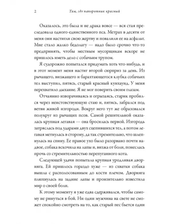 Там, где папоротник красный