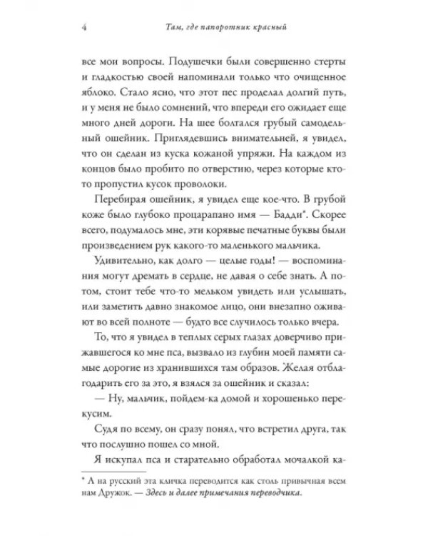 Там, где папоротник красный