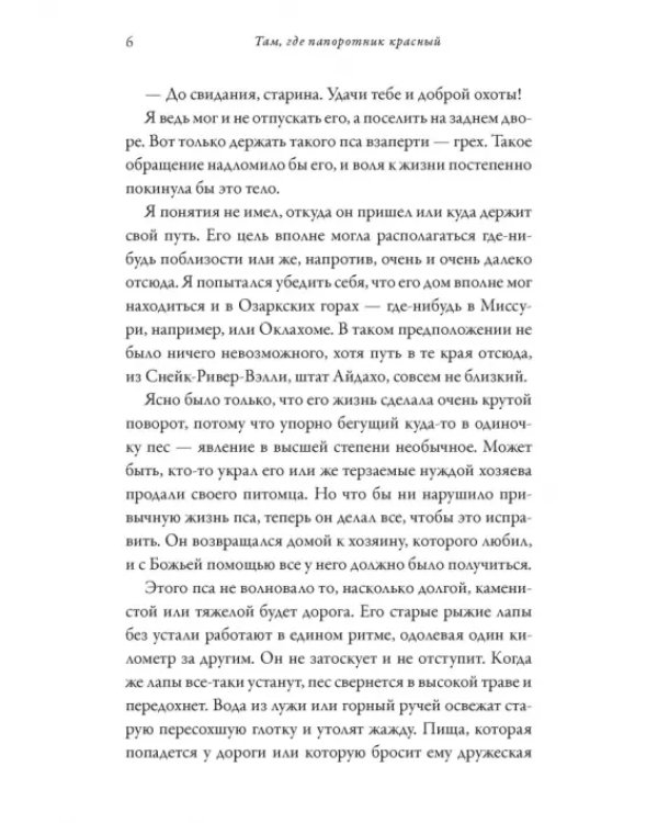 Там, где папоротник красный