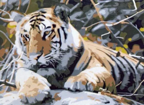 Холст с красками "Рисование по номерам. Тигр на камне", 22х30 см. Холст с красками "Рисование по номерам. Тигр на камне", 22х30 см.