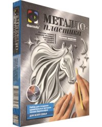 Металлопластика "Ночное видение"