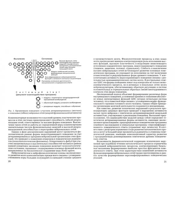 Психотропные препараты. От теории к практике
