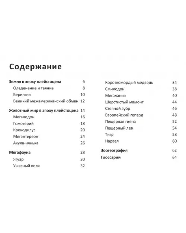 Ледниковый период