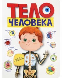 Тело человека