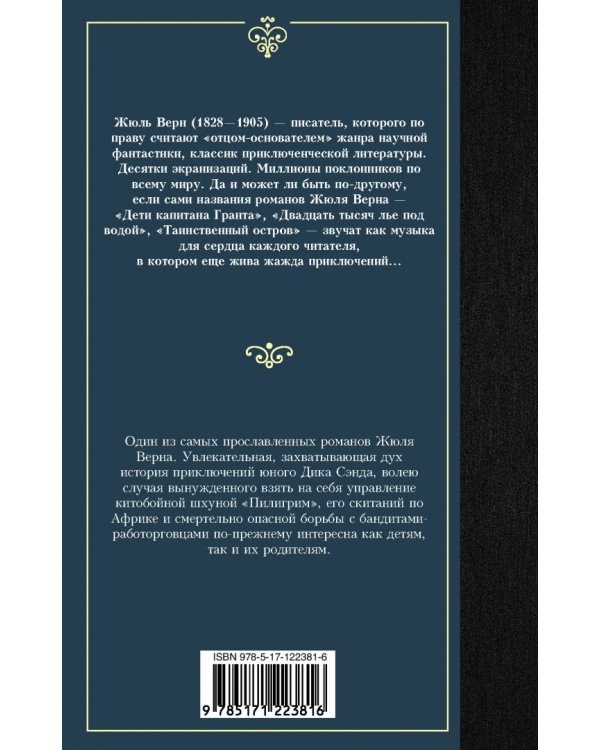 Пятнадцатилетний капитан