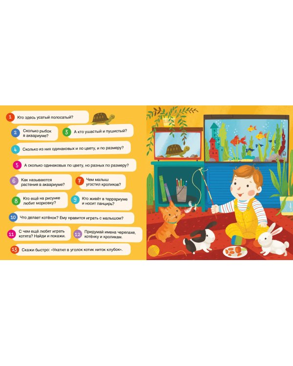 117 вопросов по картинкам. Самый лучший день