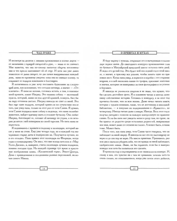 О приютах и мухах