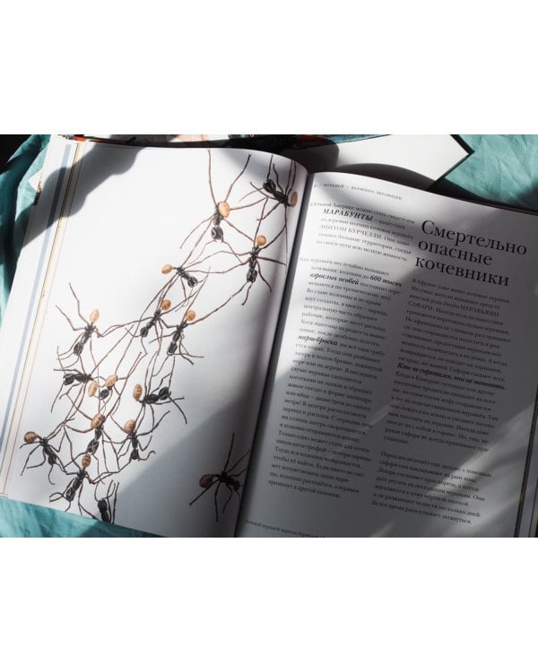 Поразительные насекомые. Книга про подземных математиков, мастеров блефа, дружных кочевников, зомби