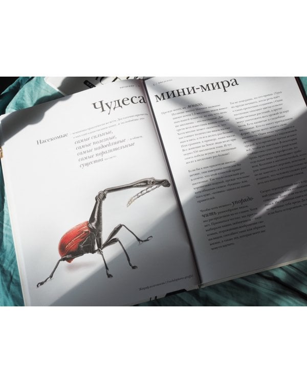 Поразительные насекомые. Книга про подземных математиков, мастеров блефа, дружных кочевников, зомби