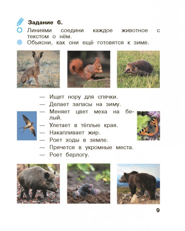 Окружающий мир. 1 класс. Рабочая тетрадь. В 2-х частях. Часть 1
