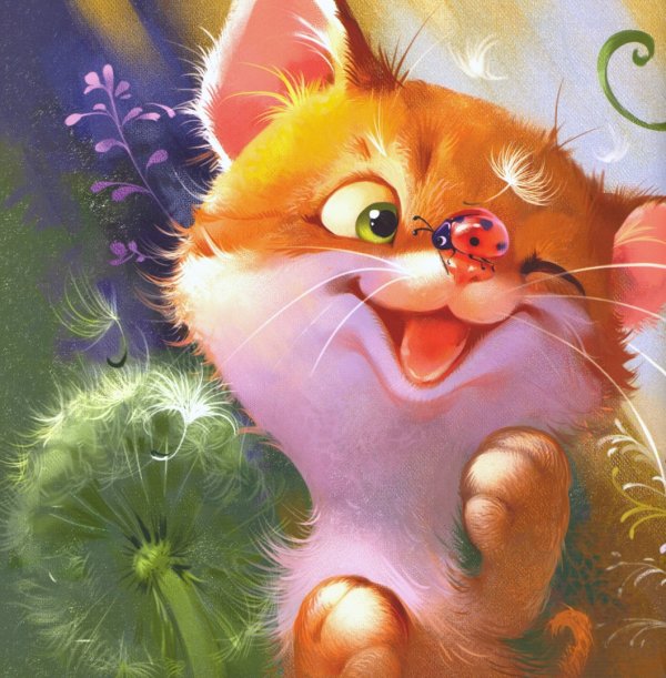 С ворохом радости Котенок и солнышко