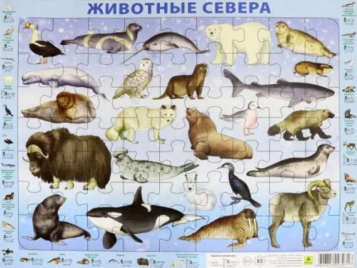Детский пазл на подложке. Животные Севера, 63 элемента Детский пазл на подложке. Животные Севера, 63 элемента