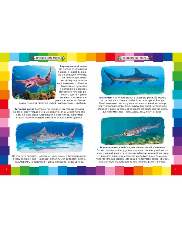 Животные морей и океанов. Энциклопедия для самых маленьких