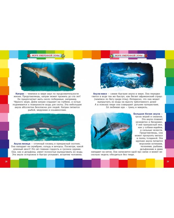 Животные морей и океанов. Энциклопедия для самых маленьких