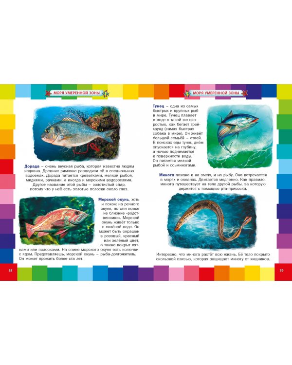 Животные морей и океанов. Энциклопедия для самых маленьких