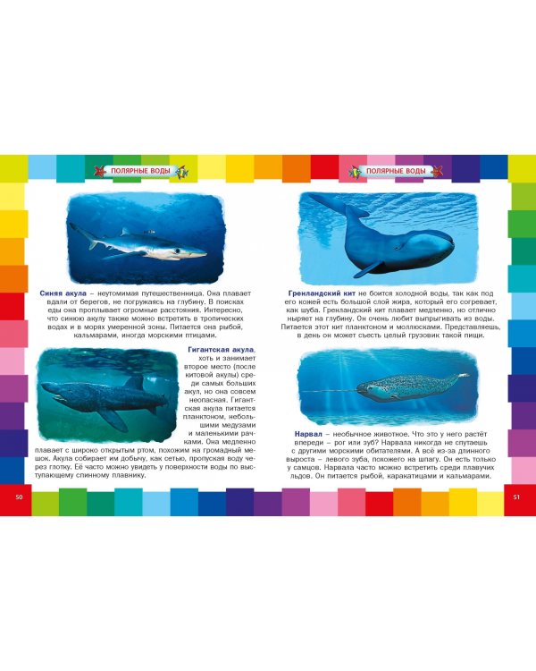 Животные морей и океанов. Энциклопедия для самых маленьких