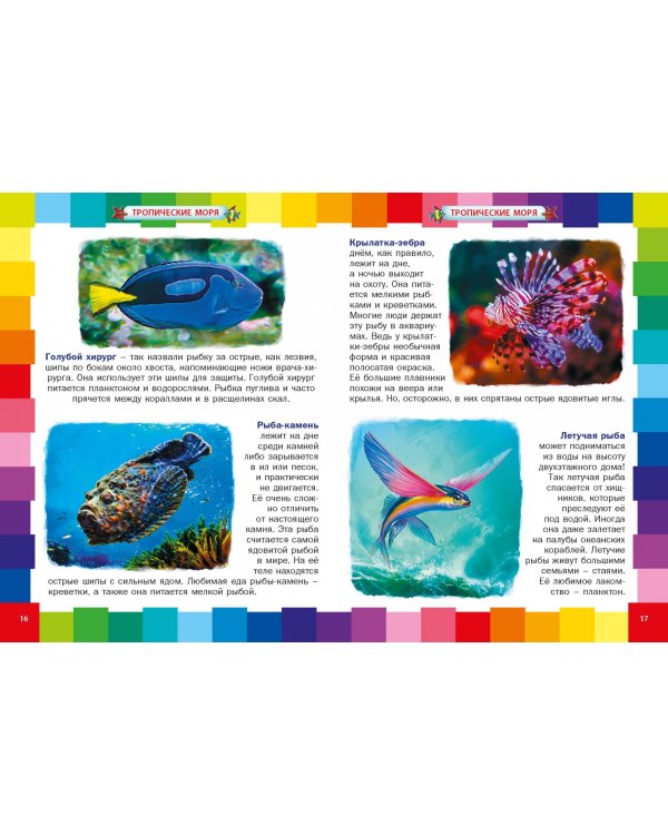 Подводный мир для малышей. Детская энциклопедия