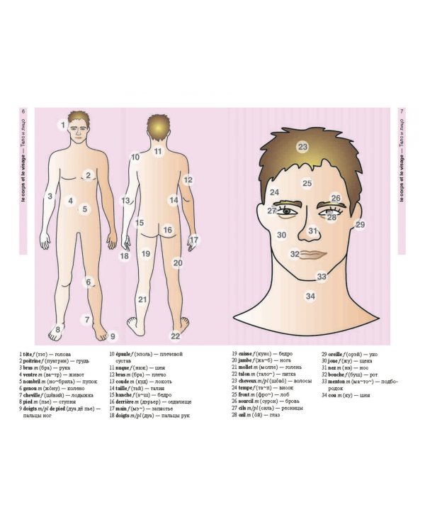 Французский язык в картинках