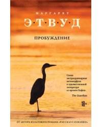 Пробуждение